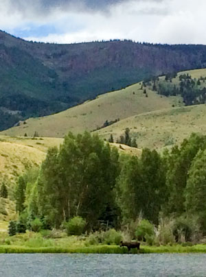 colorado moose pond